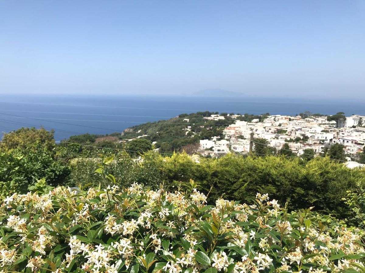 Agriturismo del Sole Anacapri  Esterno foto